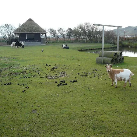 Strandslag Zanddijk 149 Aan Zee יוליאנאדורפ