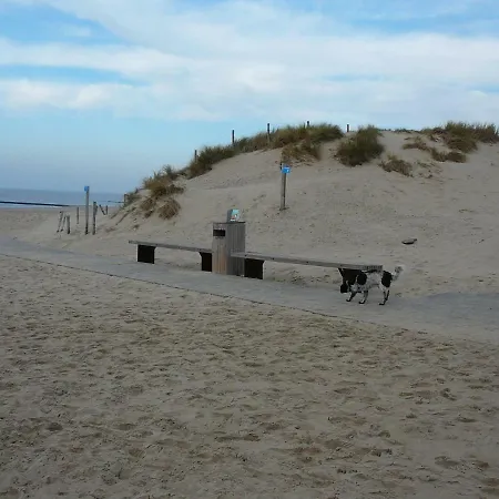 Strandslag Zanddijk 149 Aan Zee