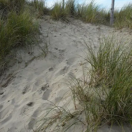 Strandslag Zanddijk 149 Aan Zee * יוליאנאדורפ