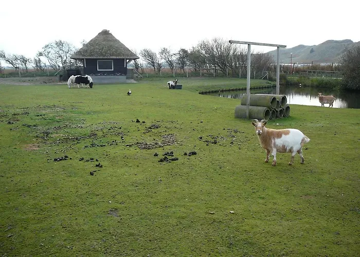 Strandslag Zanddijk 149 Aan Zee 줄리아나도르프