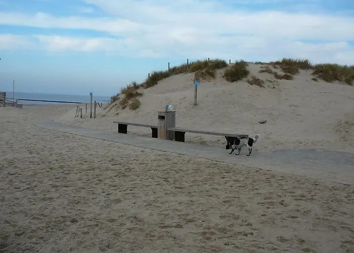 Strandslag Zanddijk 149 Aan Zee