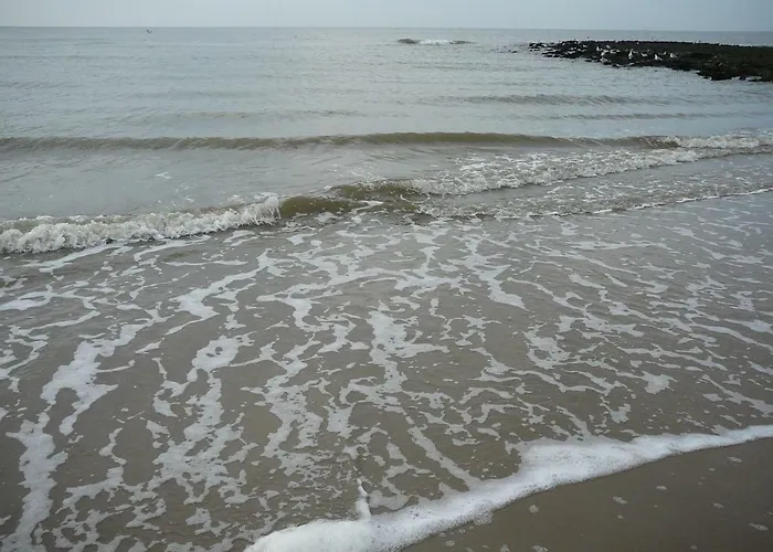 Strandslag Zanddijk 149 Aan Zee 아파트 줄리아나도르프