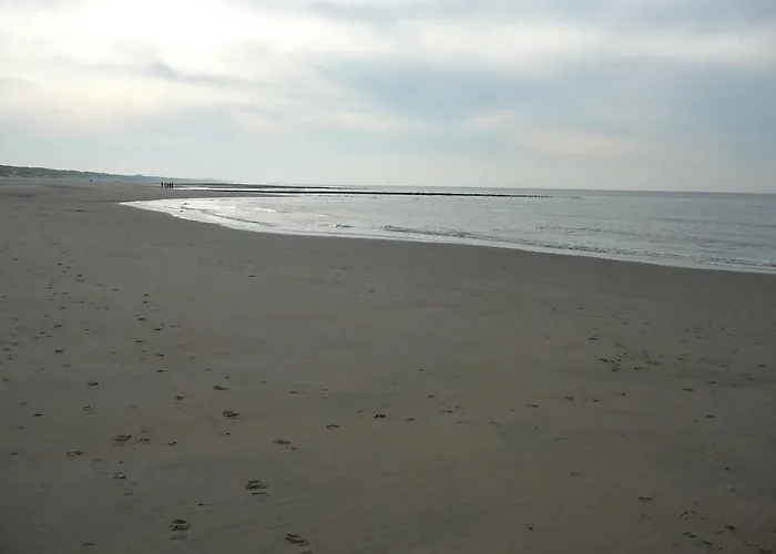 Strandslag Zanddijk 149 Aan Zee * 줄리아나도르프