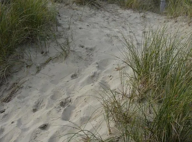 Strandslag Zanddijk 149 Aan Zee * 줄리아나도르프